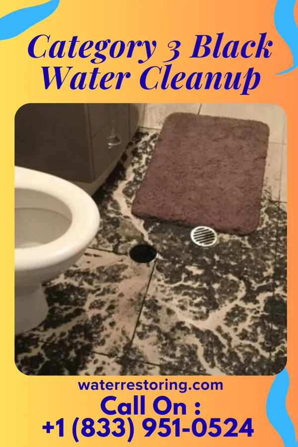 Category 3 Black Water Cleanup in Peña Blanca, NM
