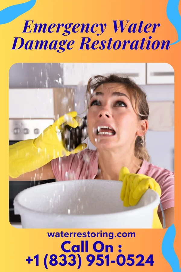 Emergency Water Damage Restoration in Peña Blanca, NM