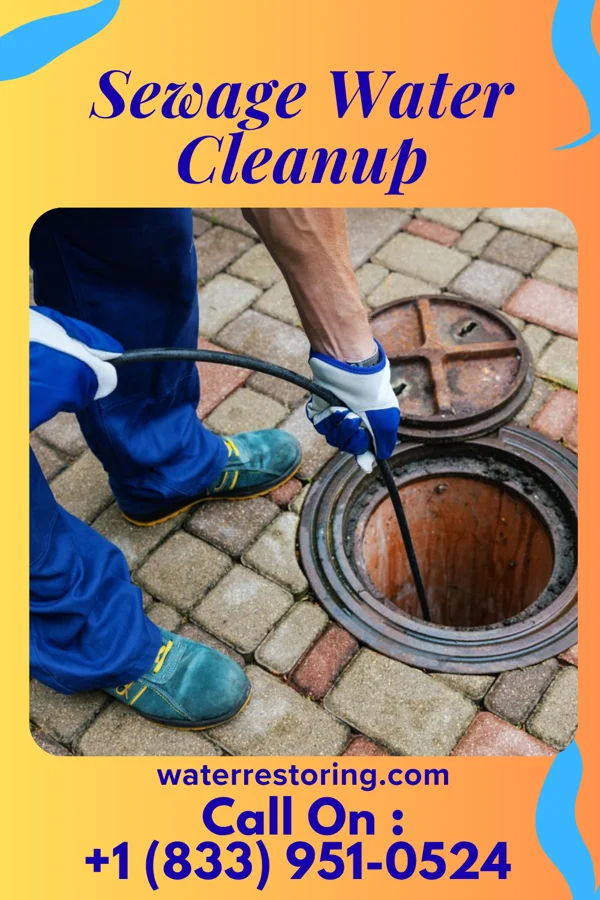 Sewage Water Cleanup in Peña Blanca, NM